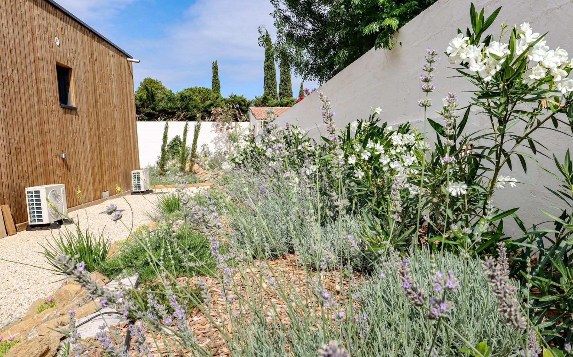 Les Gites De Laure - L'Eden Romantique, Chambres Hotes, Spa Prive, Couloir De Nage, Adults Only Malves-en-Minervois Dış mekan fotoğraf